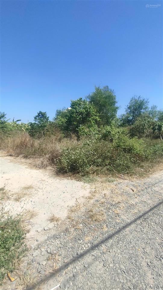 Đất ngộp nặng ra gấp  bên hông khu đô thị stc dt 519.4m2  giá 5,2 tỷ  bình sơn  long thành