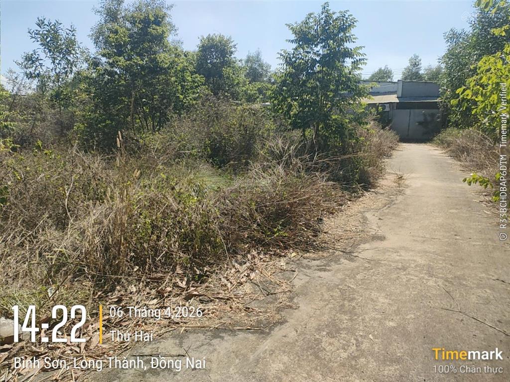 Đất ngộp nặng ra gấp  bên hông khu đô thị stc dt 519.4m2  giá 5,2 tỷ  bình sơn  long thành