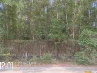 Đất kho bãi, công xưởng khu công nghiệp  diện tích gần 2ha  giá 5 tr/m