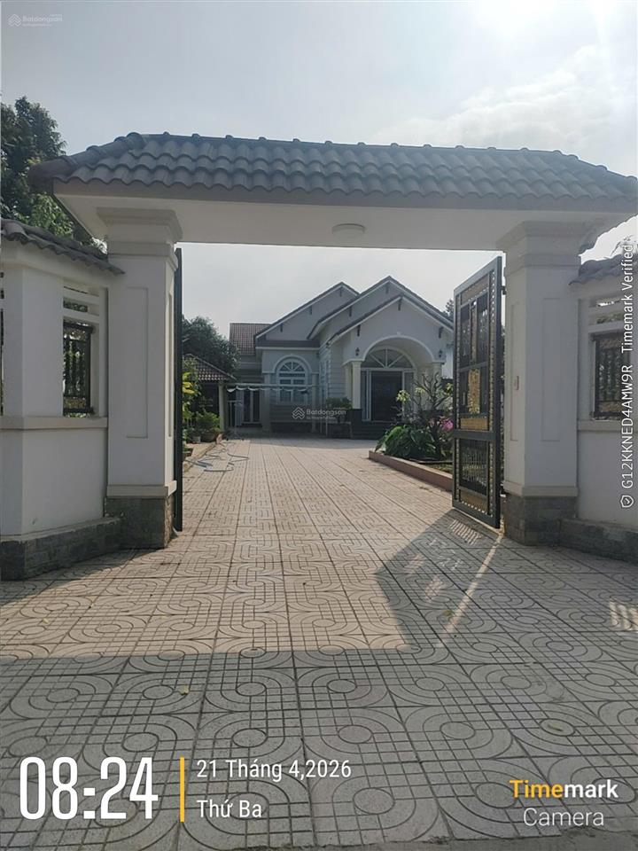 Ngộpphùng hưng 1 xẹt nhà sân vườn + quán cafe 1.488m2 chỉ 9,5 tỷcó 200 thổan viễntrảng bom