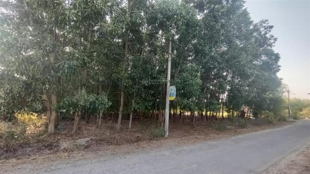1 xẹt đường bàu cạnđất hơn 7 sàocó 300m² thổ cưgiá chỉ 3tr/mlong phướclong thành