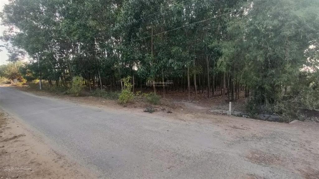 1 xẹt đường bàu cạnđất hơn 7 sàocó 300m² thổ cưgiá chỉ 3tr/mlong phướclong thành