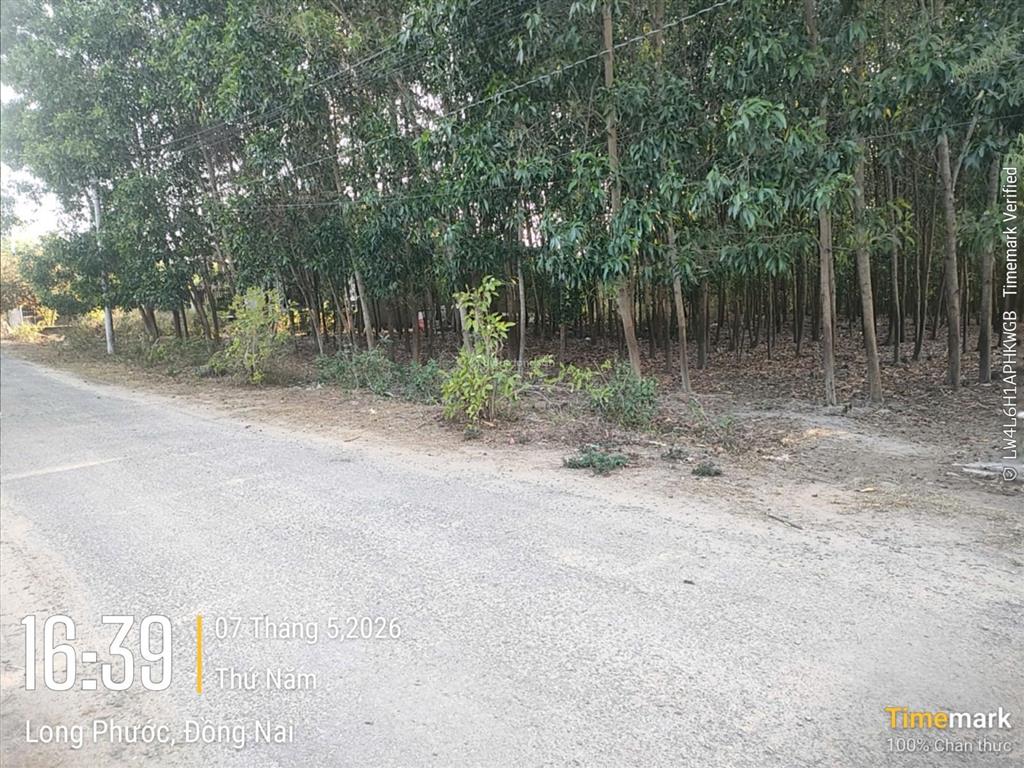 1 xẹt đường bàu cạnđất hơn 7 sàocó 300m² thổ cưgiá chỉ 3tr/mlong phướclong thành