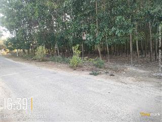 1 xẹt đường bàu cạnđất hơn 7 sàocó 300m² thổ cưgiá chỉ 3tr/mlong phướclong thành