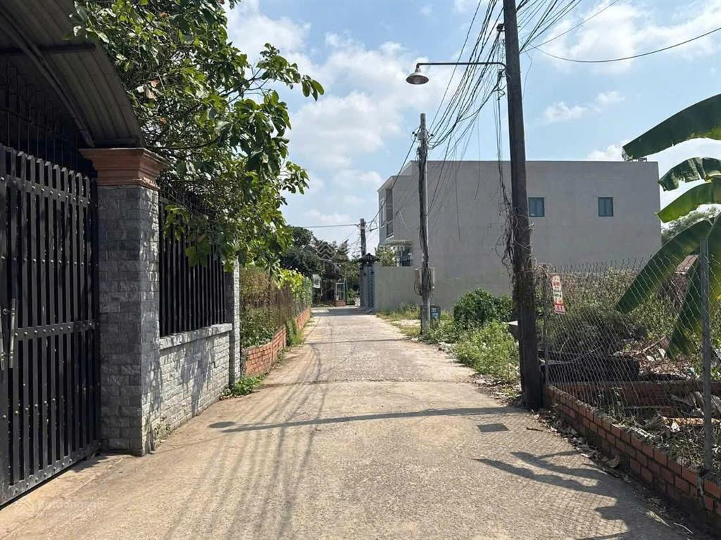 Đối diện tt thương mại 77 habán đất thổ cư an phướcdt 223m có 100 thổgiá 3,1 tỷ long thành