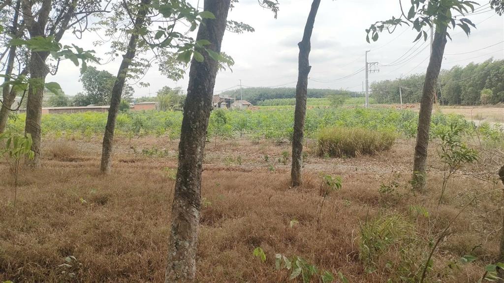 Đất kho xưởng 1 xẹt phùng hưng sẵn skcgần 2ha  giá 67,5 tỷ  an viễn, trảng bom, đồng nai