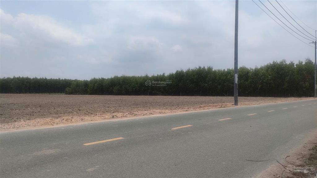 Đất kho xưởng 3,5ha, 1 xẹt quốc lộ 51nằm ngay trung tâm cụm công nghiệp long phước 1  long thành