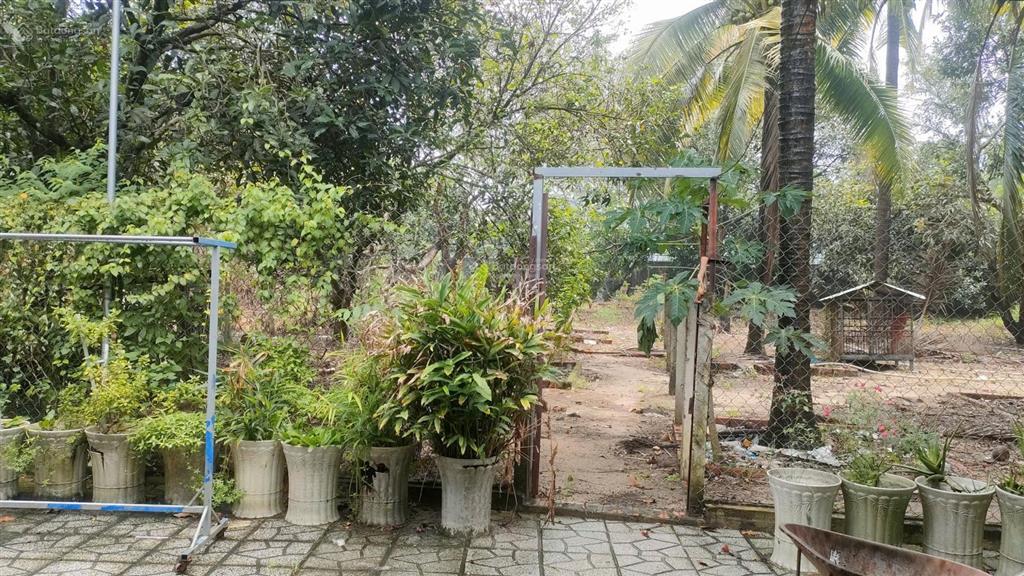 Bán đất tặng biệt thự sân vườn  dt 2840m2, full nội thất cao cấp  giá 13,5 tỷ  an phước