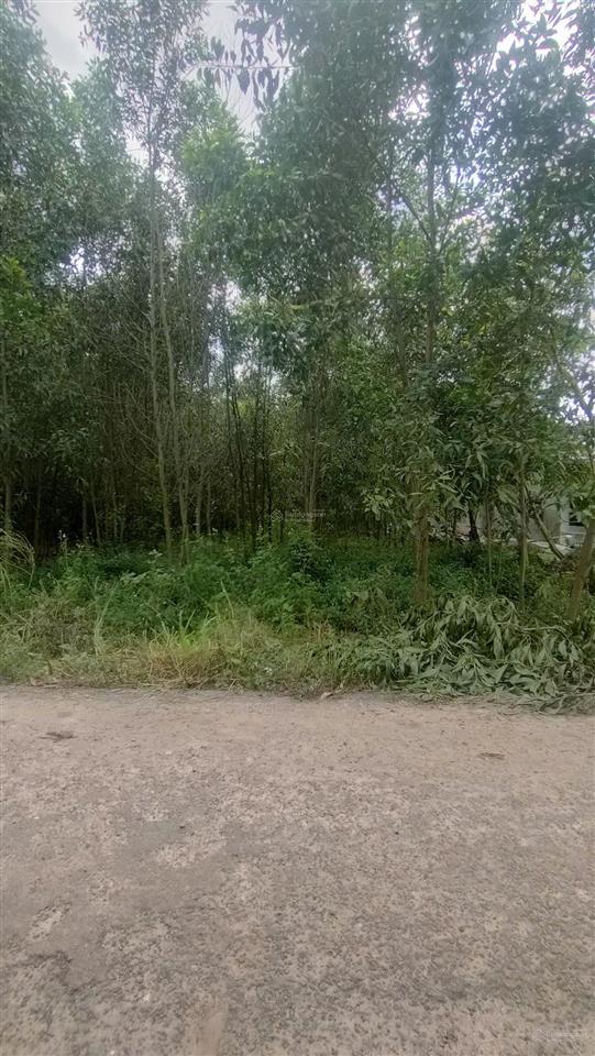 400m² thổ cư 1005m² đối diện cổng kho logistics sân bay  đường tân hiệp, xã tân hiệp, long thành