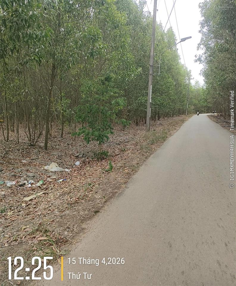 Đất thương mại dịch vụ sân bay long thành dt 55.238m2  giá 3,5tr/m2  long an  long thành