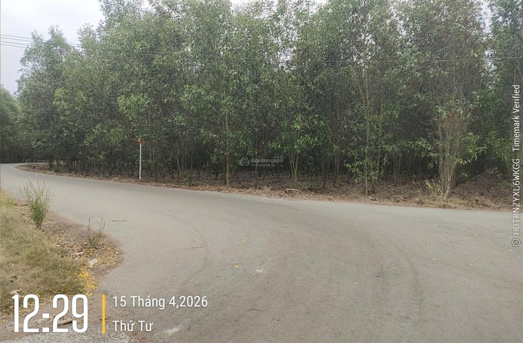 Đất thương mại dịch vụ sân bay long thành dt 55.238m2  giá 3,5tr/m2  long an  long thành