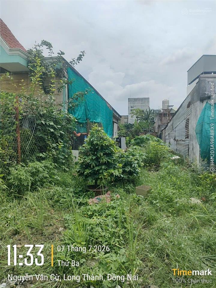 Nguyễn văn cừ  đất mặt tiền kinh doanh  trung tâm long thành 167,5m, có 70m odt giá 6,8 tỷ