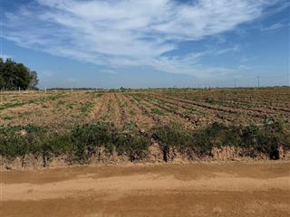 Bán lô đất mặt tiền đường huyện nhánh dt744 vị trí đẹp, tiềm năng cao