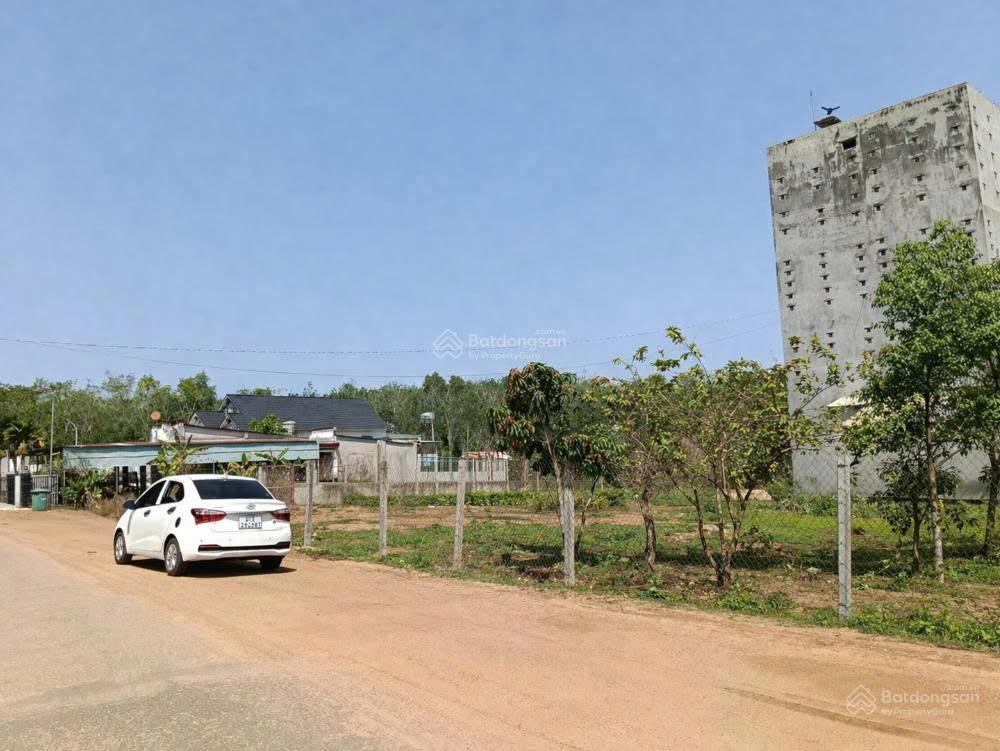 Đầu tư/kinh doanh/xây nhà vườn  chốt ngay 30m mặt tiền đường huyện có 300m2 thổ cư
