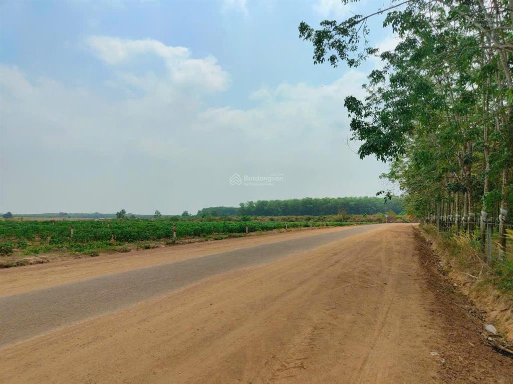 Đầu tư/kinh doanh/xây nhà vườn  chốt ngay 30m mặt tiền đường huyện có 300m2 thổ cư