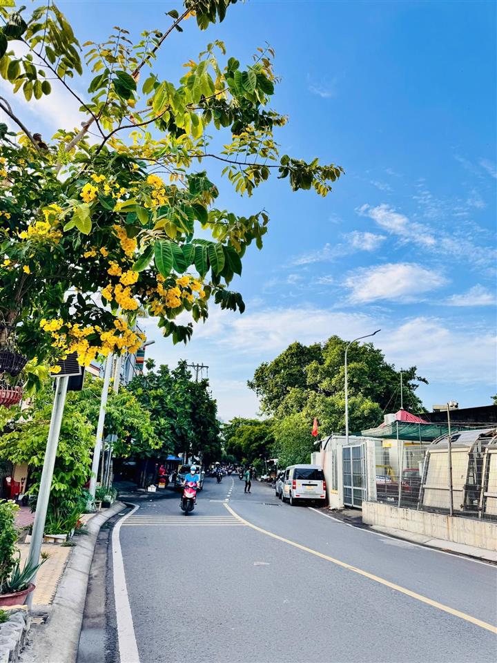 Nhà cũ  lạc long quân  quận 11  gần đầm sen  chỉ 3,85 tỷ