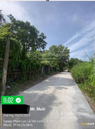 Đất vườn đẹp dt 1.125m2 đường ô tô, cách lê văn lương 300m  giá 6,5tr/m2