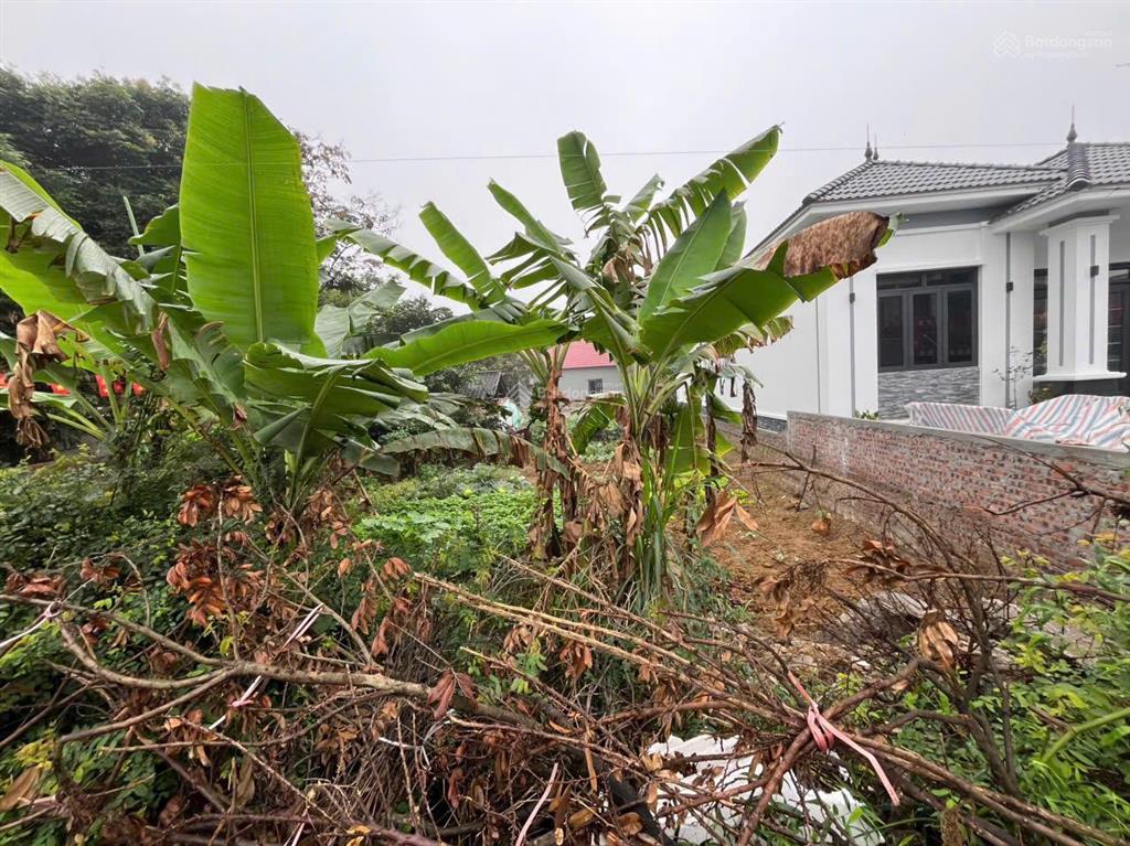 Cần tiền bán gấp đất nghỉ dưỡng đẹp quốc oai  sổ đỏ chính chủ