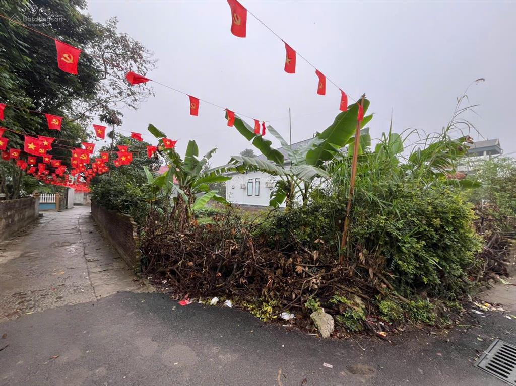 Cần tiền bán gấp đất nghỉ dưỡng đẹp quốc oai  sổ đỏ chính chủ