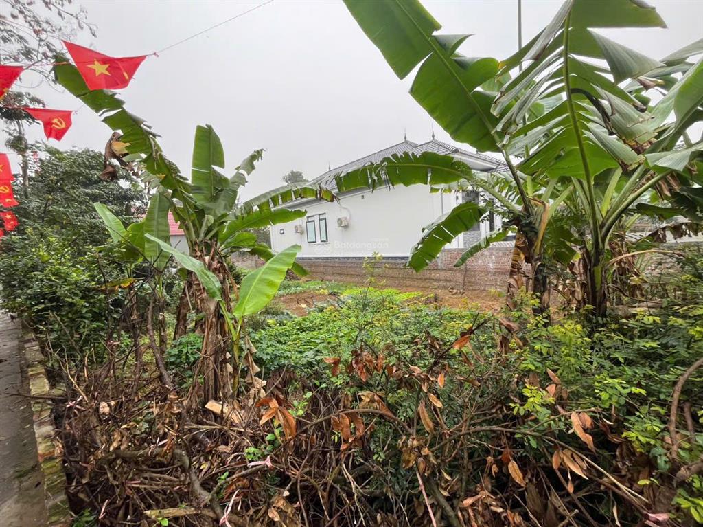 Cần tiền bán gấp đất nghỉ dưỡng đẹp quốc oai  sổ đỏ chính chủ