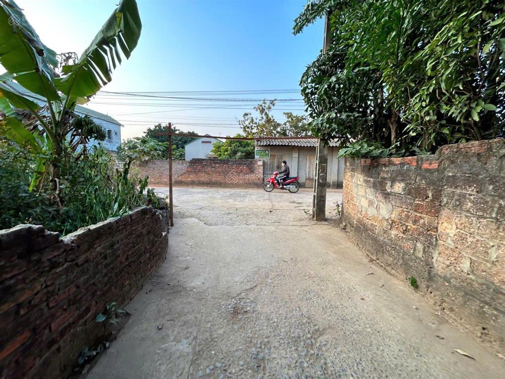 Cần tiền bán gấp đất nghỉ dưỡng đẹp quốc oai  sổ đỏ chính chủ