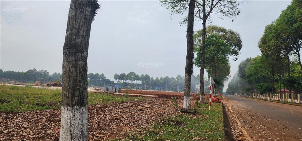 Chủ cần tiền nên bán nhanh mảnh đất 187m, thổ cư 100%, giá chỉ bằng 1/2 khu vực