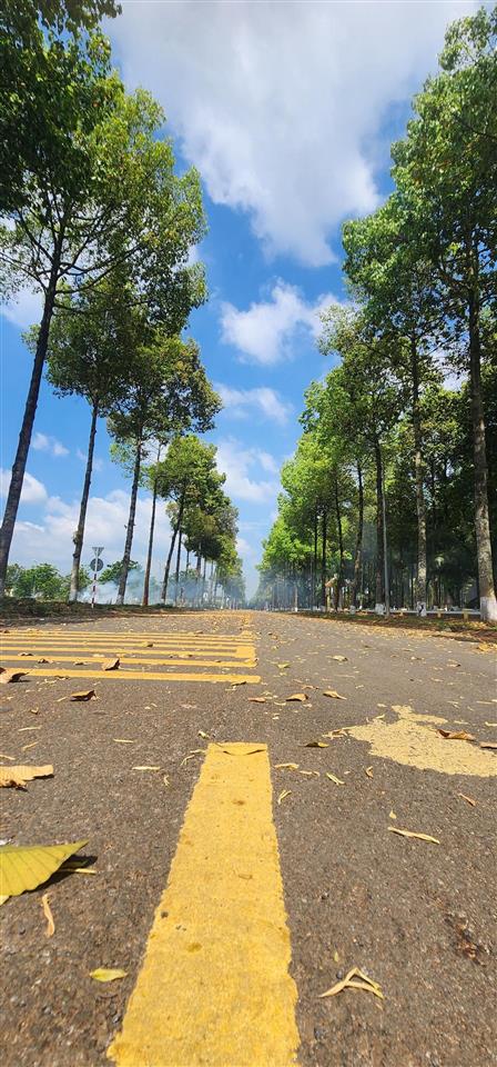 Chủ cần tiền nên bán nhanh mảnh đất 187m, thổ cư 100%, giá chỉ bằng 1/2 khu vực