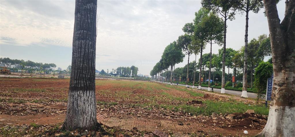 Chủ cần tiền nên bán nhanh mảnh đất 187m, thổ cư 100%, giá chỉ bằng 1/2 khu vực