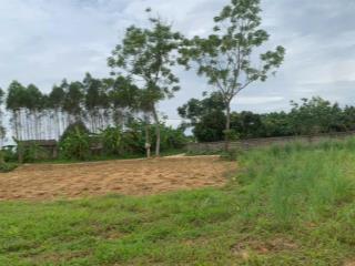 Bán gấp trang trại đẹp ở xã cẩm lý, bắc ninh tổng diện tích sử dụng 2350m2, 360m2 thổ cư, 2,5 tỷ