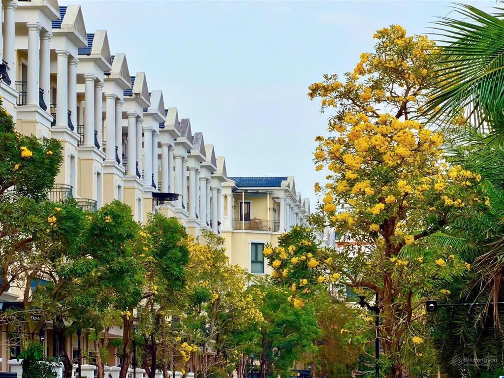Cập nhật bảng giá mới nhất tháng 5/2026 liền kề vinhome ocean park. cơ hội cuối cùng nhà giá rẻ