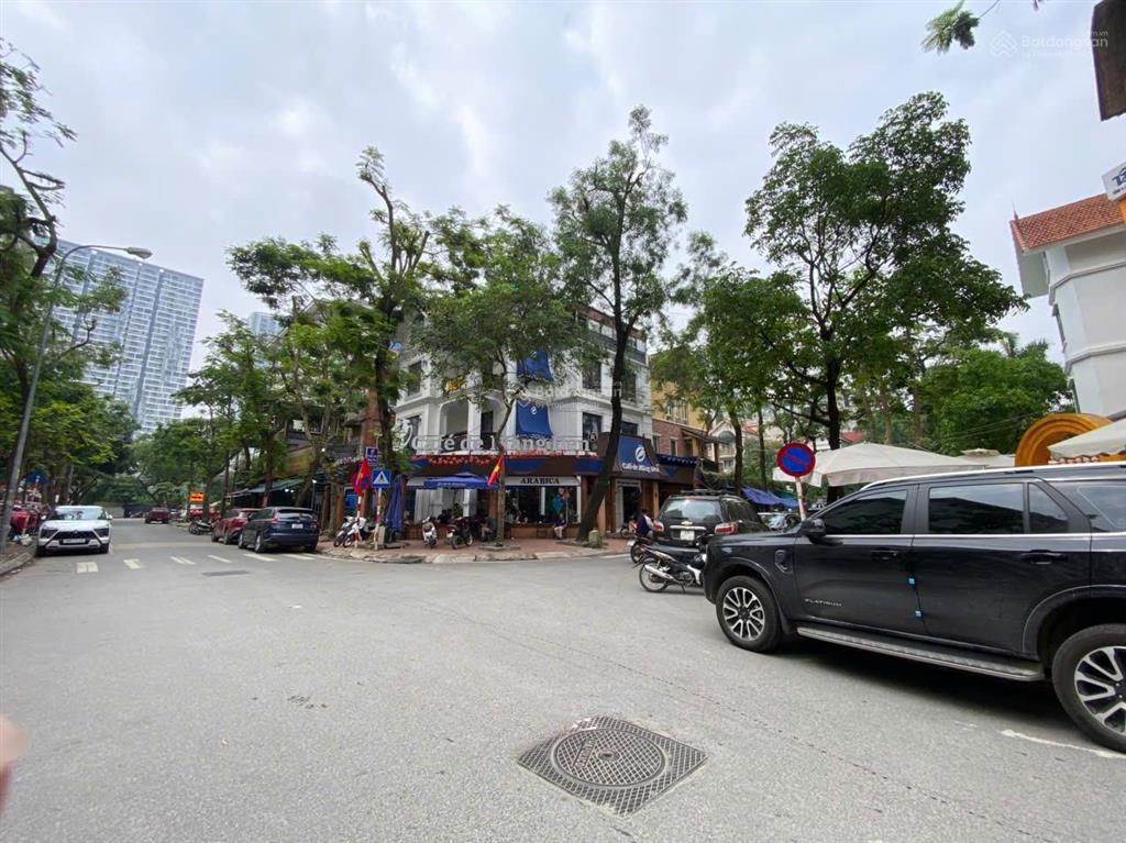 Chính chủ bán biệt thự lô góc 3 thoáng, 130m, 76 tỷ, vỉa hè, kd đẳng cấp, cạnh vinhom hàm nghi