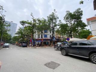 Chính chủ bán biệt thự lô góc 3 thoáng, 130m, 76 tỷ, vỉa hè, kd đẳng cấp, cạnh vinhom hàm nghi