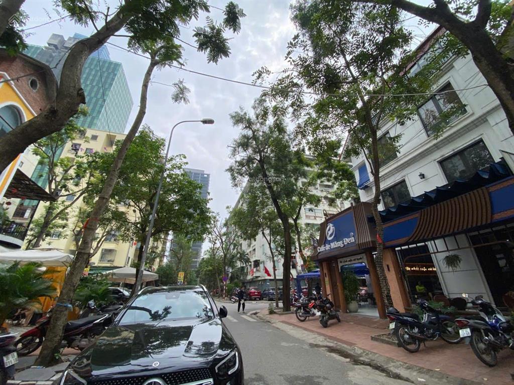 Chính chủ bán biệt thự lô góc 3 thoáng, 130m, 76 tỷ, vỉa hè, kd đẳng cấp, cạnh vinhom hàm nghi