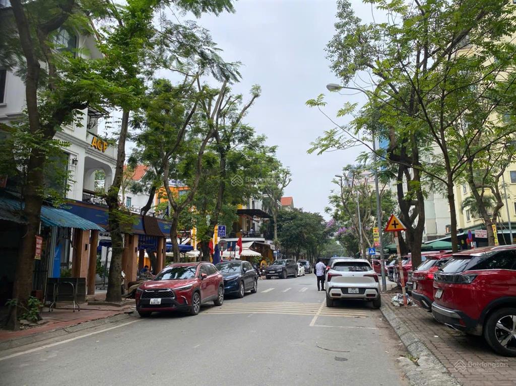 Chính chủ bán biệt thự lô góc 3 thoáng, 130m, 76 tỷ, vỉa hè, kd đẳng cấp, cạnh vinhom hàm nghi