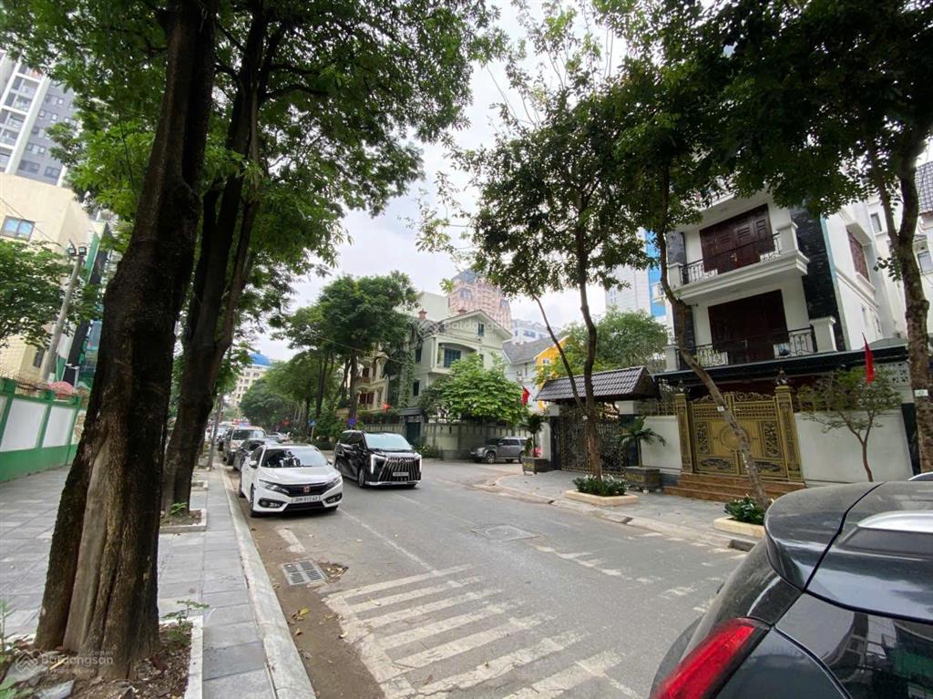Chính chủ bán biệt thự 4 tầng đối diện trường lô mô nô xốp, 98m, 38 tỷ, kinh doanh đỉnh cao.