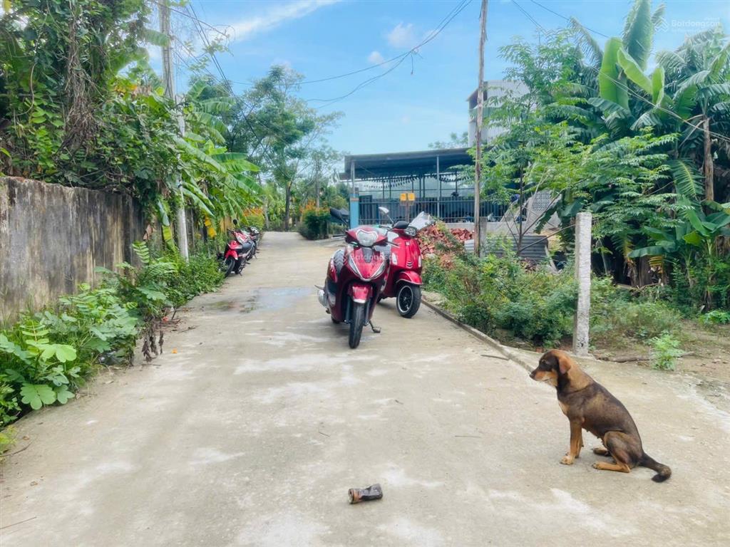 Bán lô đất đẹp tại dương sơn  hòa xuân gần nam kỳ khởi nghĩa ô tô chạy vi vu