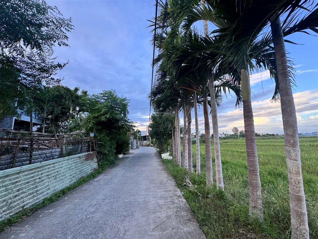 Bán lô đất đường 5m5 view đồng  tổ dân phố quang châu  hòa xuân