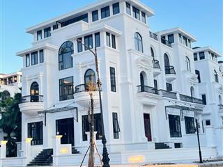 Cần tiền gấp, chính chủ cần bán căn biệt thự góc vườn hoa vip nhất tại dự án louis city hoàng mai