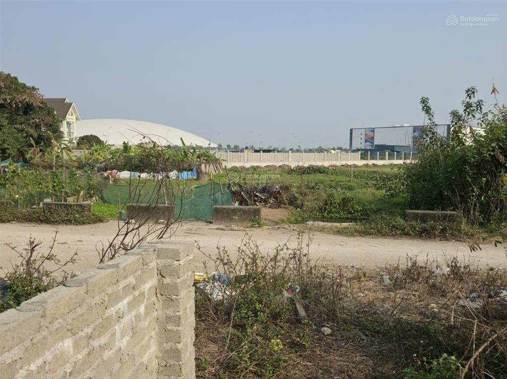 Cực hiếm, đất đấu giá xuân trạch, đông anh, 82,5m2, ô tô tránh, ngay triển lãm qg, giá chỉ 16,5 tỷ