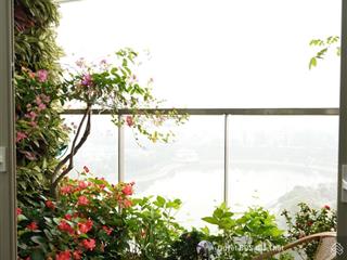 (giá thật) chính chủ bán căn 168m2 3pn + 2 wc view nội khu 23,5 tỷ cc mandarin garden