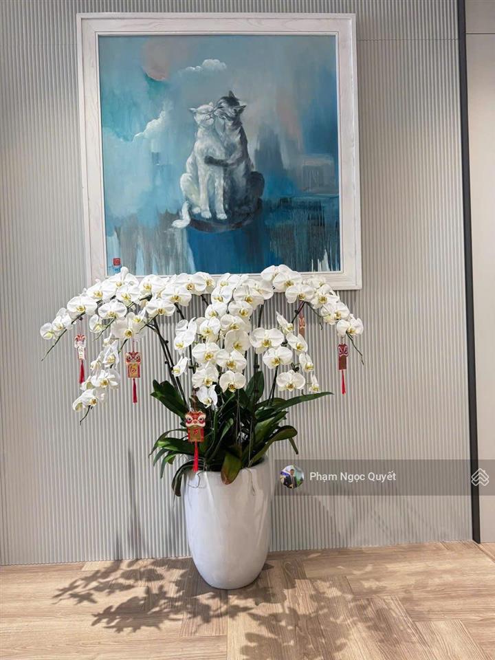 Chính chủ bán căn 105m2, 3pn + 2wc tầng trung full nt đẹp giá 13,2 tỷ cc brg the diamond residence