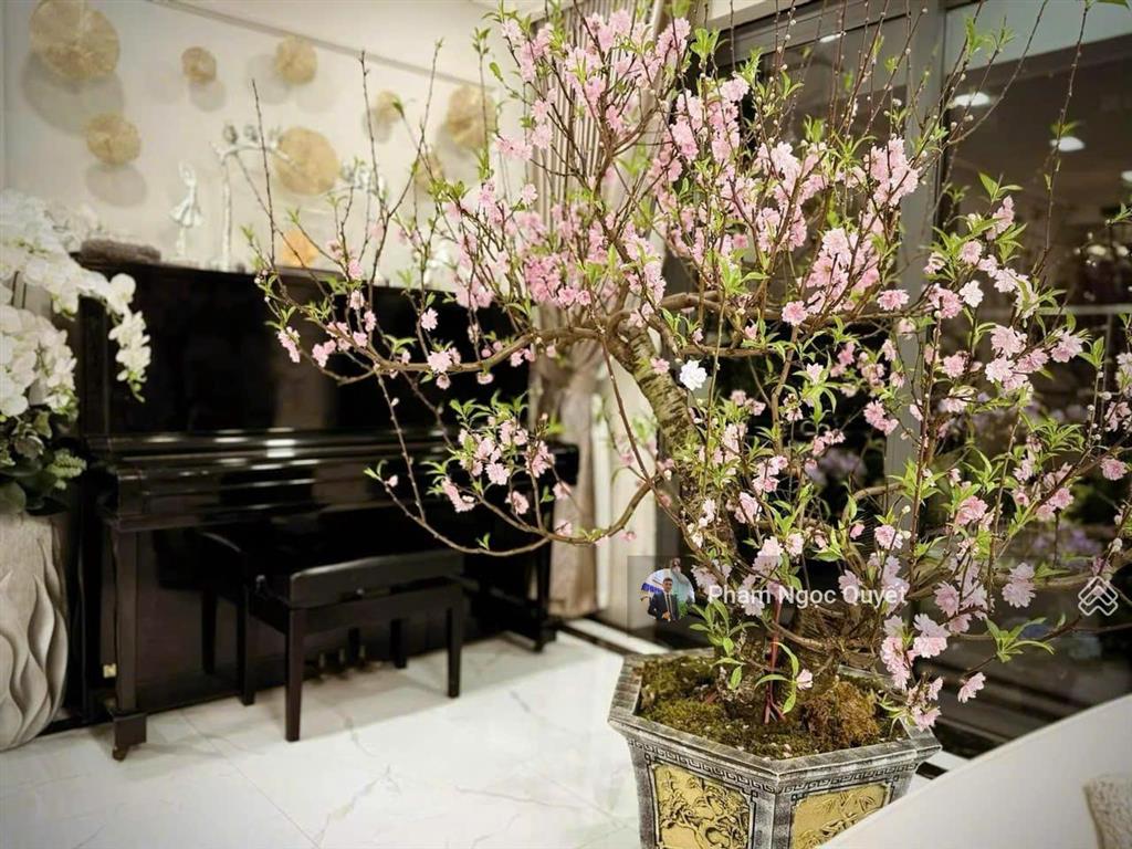 (giá thật) chính chủ bán căn 170m², 4pn + 3wc tầng trung, full nt luxury, giá 20,5 tỷ rivera park