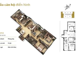 Siêu phẩm dual key  4pn  142m2  siêu vip tại terra 83 hào nam full đồ giá cạnh tranh, sẵn sổ đỏ