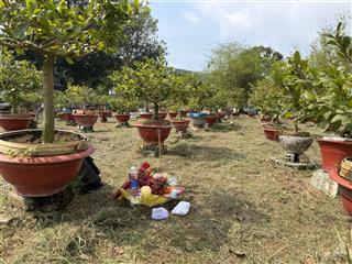 Bán đất 1000m2 tại thị trấn phúc thọ, 1,5 tỷ, đường vào rộng rãi, pháp lý đầy đủ, hot