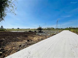 Bán đất 5x40m full thổ cư tại khu dân cư tân hội, giá chỉ 650 triệu