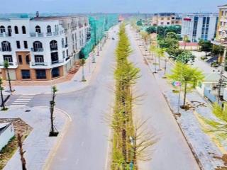 Biệt thự view hồ vùng lõi khu công nghiệp bắc ninh mà giá chỉ từ 30 triệu/m2.