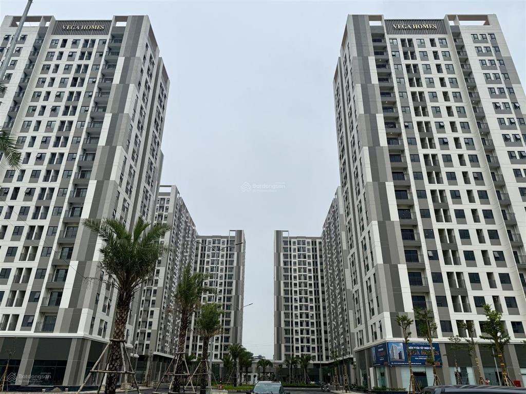 Mời thuê căn hộ chung cư vega homes