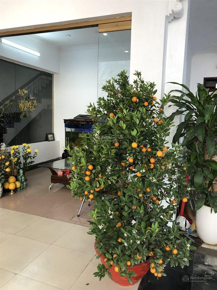 Khách sạn tt hà nội, 6 tầng diện tích khủng, đường kim ngưu, giá cực tốt, giảm giá shock 5 tỷ