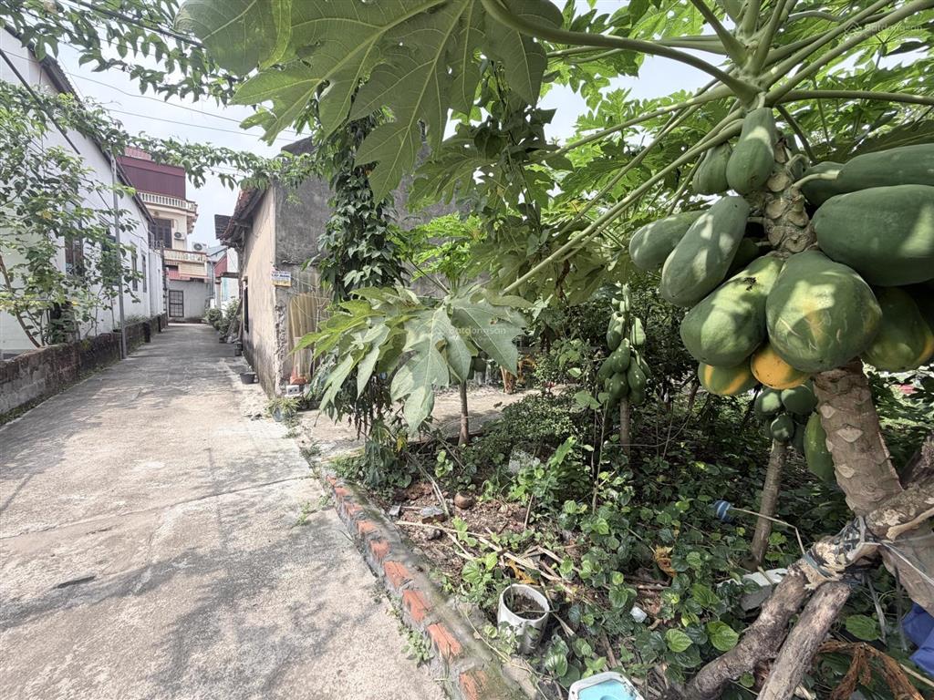 Bán đất đẹp xuất sắc tại nguyễn nhân cơ, 3,82 tỷ, 64,8 m2