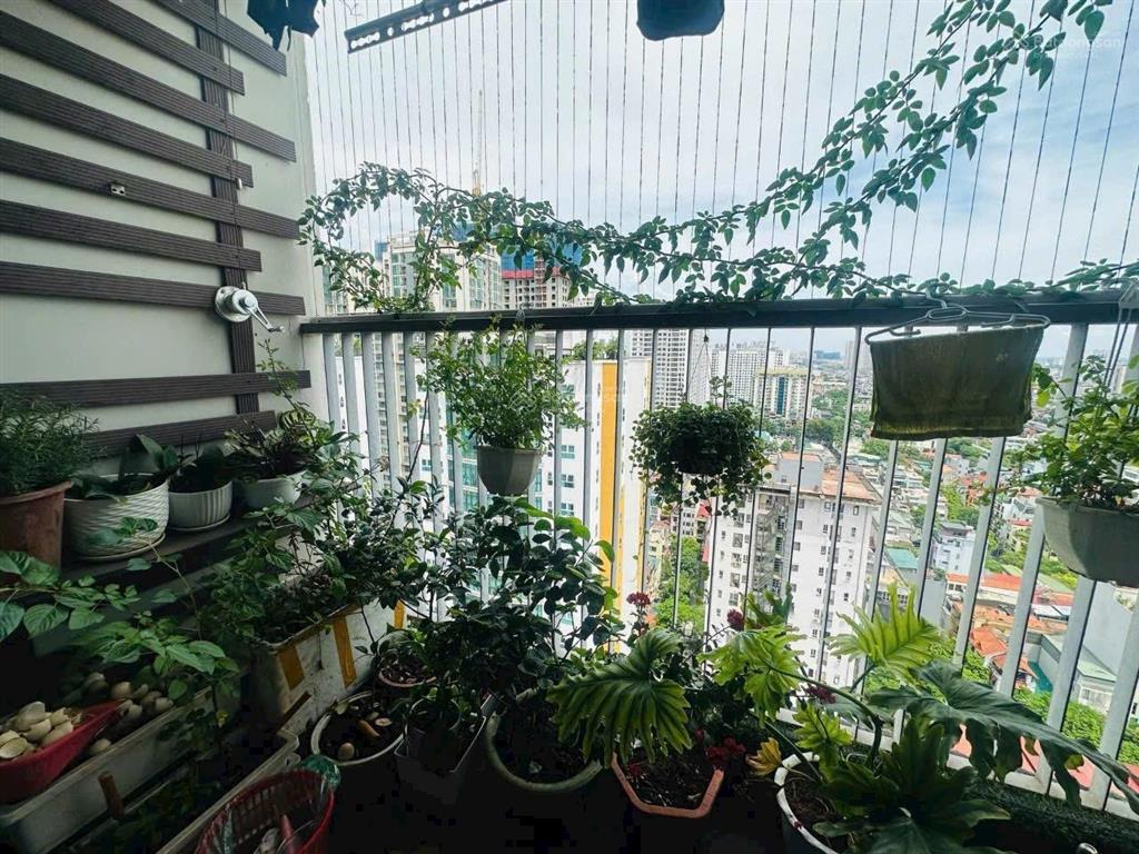 Bán nhà riêng tại phố vạn phúc, 9,8 tỷ, 45m2, hàng hiếm chỉ với